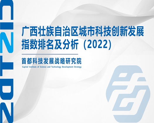 日本靠妣视频【成果发布】广西壮族自治区城市科技创新发展指数排名及分析（2022）